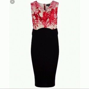 Ted Baker Dega Floral Cowl Neck Dress sz 6